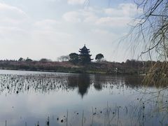 -上海海湾国家森林公园