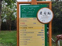 -泗洪洪泽湖湿地景区