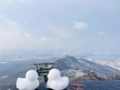 -紫金山山顶公园
