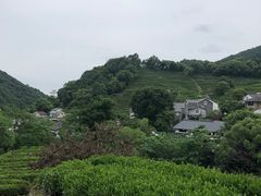 -龙井村