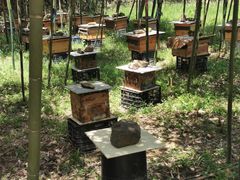 -会稽山峡洞漂流-上青古道