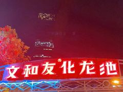 -文和友老长沙龙虾馆(化龙池店)