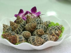 -旅南活海鲜-屏东(墾丁海鮮，海鮮餐廳，墾丁團體合菜，平價熱炒，墾丁熱炒店，活海鮮推薦，在地海鮮餐廳)