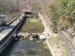 -白水寺森林公园