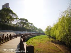 -沙澧河风景区