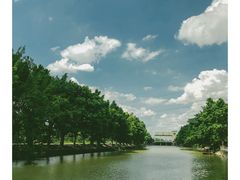 -小洲村