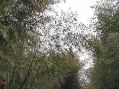-竹泉村旅游度假区