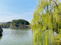 -苏州上方山国家森林公园