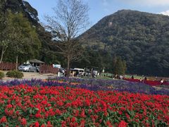 -广州市石门国家森林公园