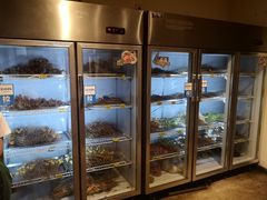 -长药唐师乐山油炸(石人直营店)
