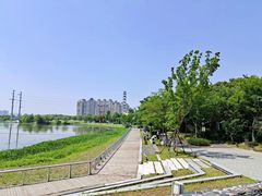 -金银湖国家城市湿地公园