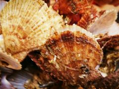 -北方饺子王·海肠捞饭·海鲜锅(山大店)