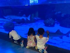 -海合安成都极地海洋公园