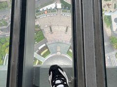 -东方明珠广播电视塔