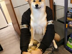 -PETKIT小佩宠物(古北店)