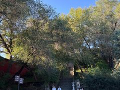 -五台山风景名胜区-罗睺寺