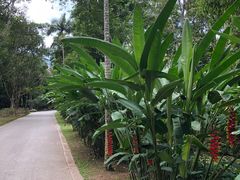 -中国科学院西双版纳热带植物园