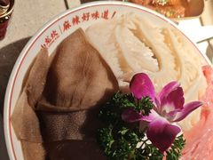-小龙坎火锅(全球旗舰店)