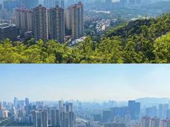 -板樟山森林公园