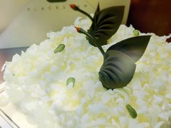 -BLACKSWAN黑天鹅(环球店)