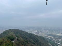 -杭州半山国家森林公园