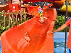 -重庆海昌加勒比海水世界