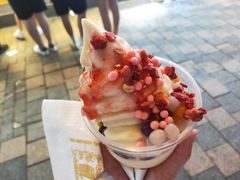 -仙境豆夫(步行街旗舰店)