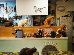 -平行世界·猫咖(首经贸店)