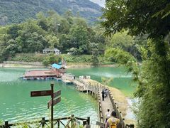 -广州市流溪河国家森林公园
