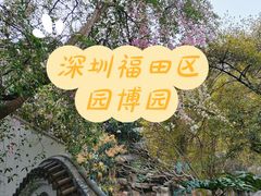 -深圳国际园林花卉博览园