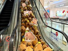 -洋洋广场(南街店)