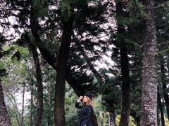 -人民公园(罗湖区)