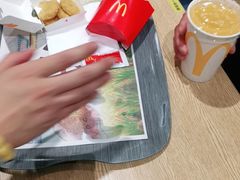 -麦当劳(北京大兴机场二层国内到达(安检外)店)