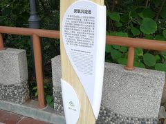 -成都市活水公园