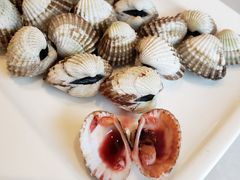 血蛤-华盛丰温州大排档(东三环南路店)