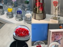 -ROSEONLY诺誓(国际广场购物中心店)