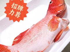 -盒马鲜生(曜一城店)