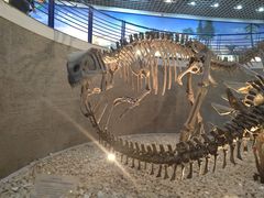 -国家自然博物馆