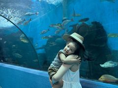 -合肥海洋世界