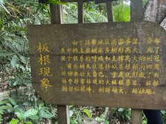 -海南热带雨林国家公园吊罗山景区