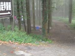 -山王坪喀斯特国家生态公园