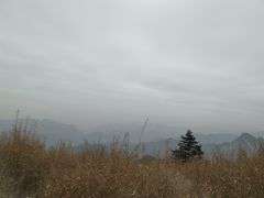 -秦岭风景区