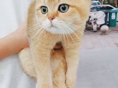 -四月宠物医院·猫专科·心脏专科·内科(转塘店)