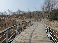 -西湖风景区-江洋畈生态公园