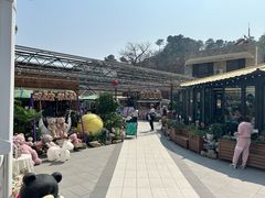 -京北渔家傲
