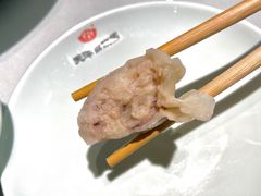 -百饺园(平山道店)