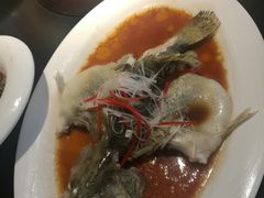 清蒸鲈鱼-梧桐树下(云锦世家店)