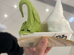 -野人先生Gelato(上海长宁龙之梦店)