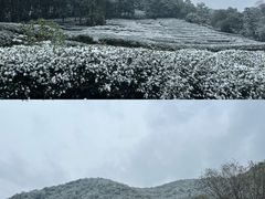 -云栖竹径