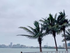 -万绿园